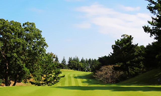 ドライバー選びは5つの条件だけ知っておく